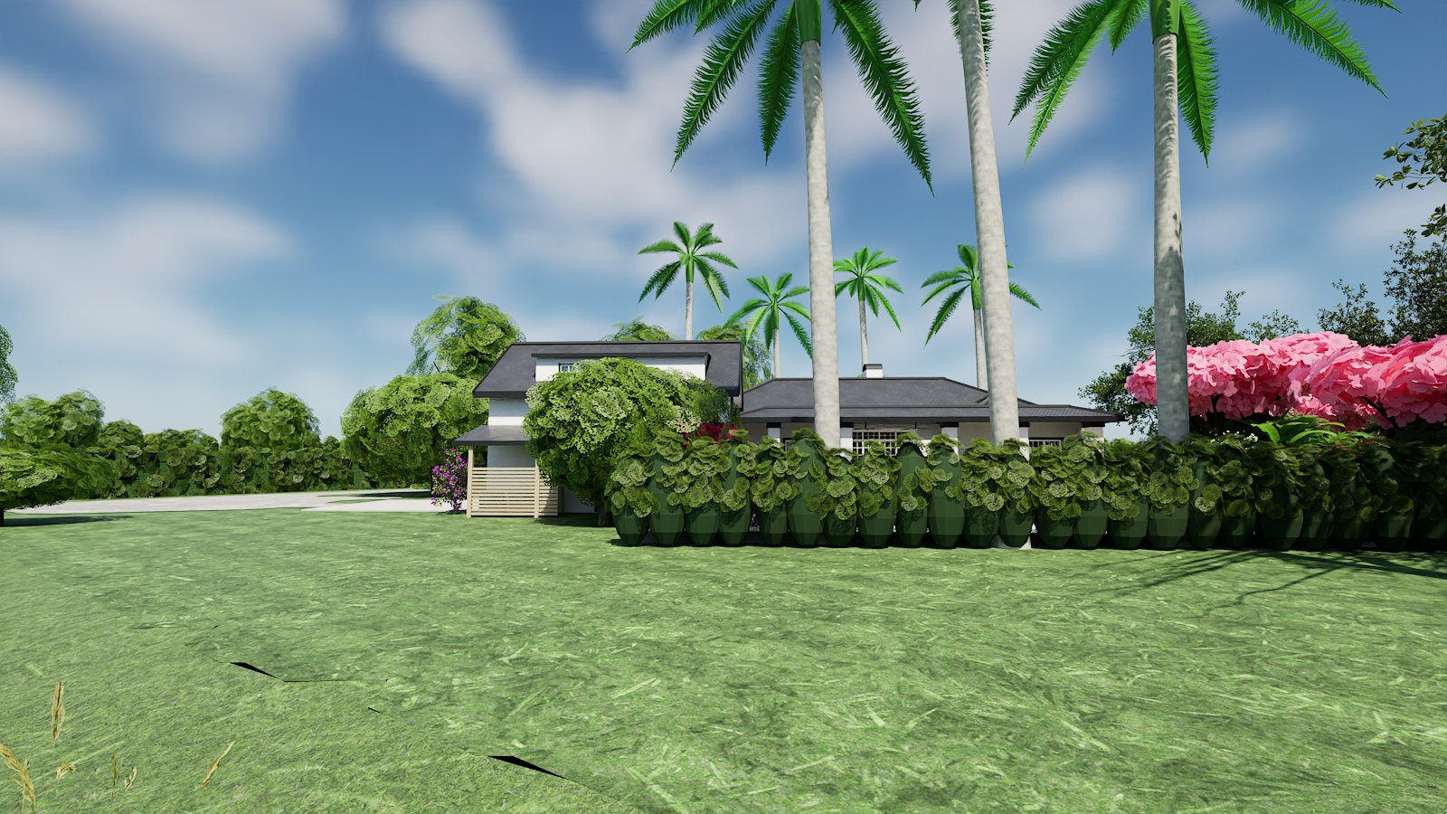 Lawn, palms and the residence